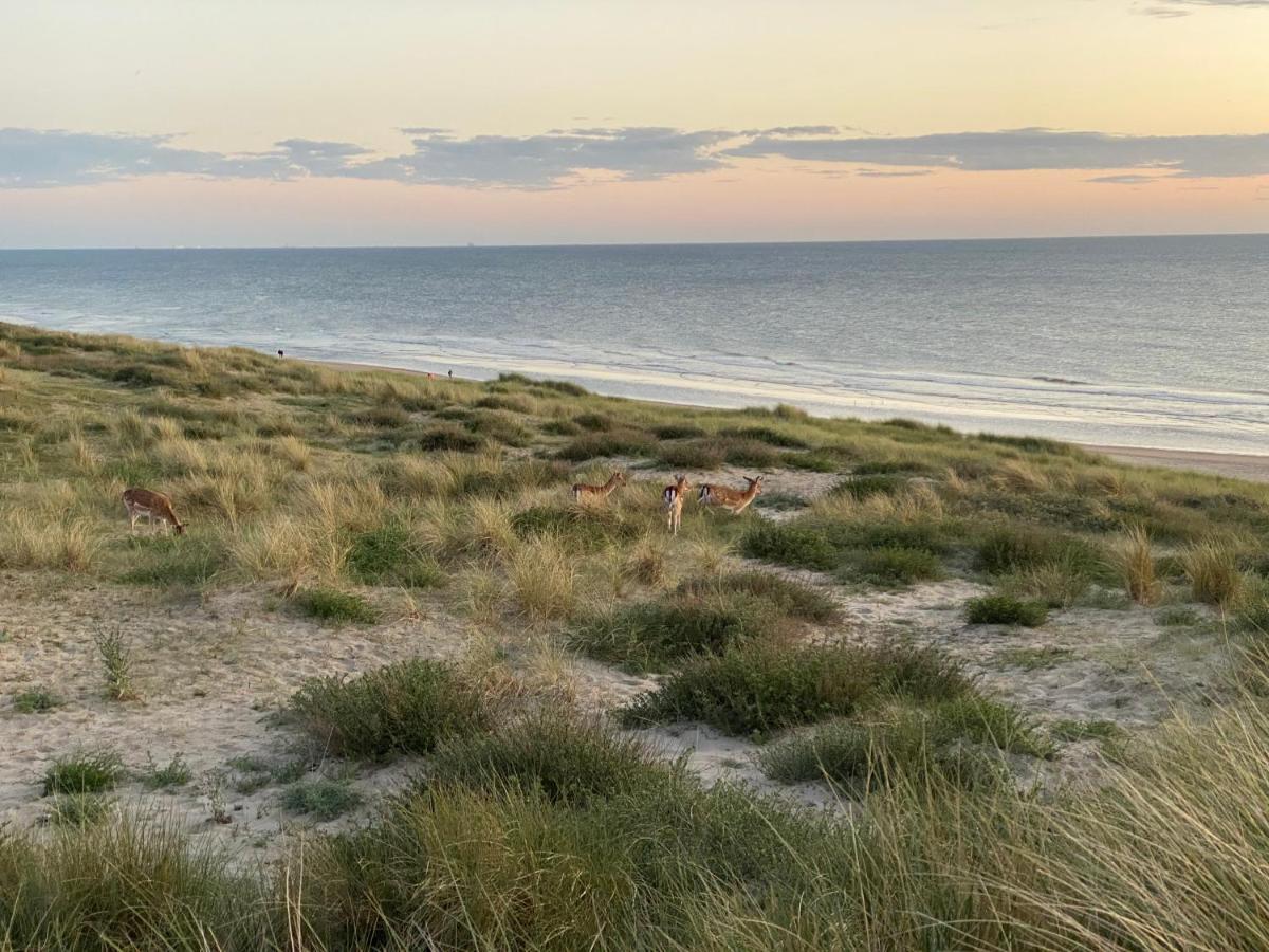 Apartmán Zwarte Vis Zandvoort Exteriér fotografie